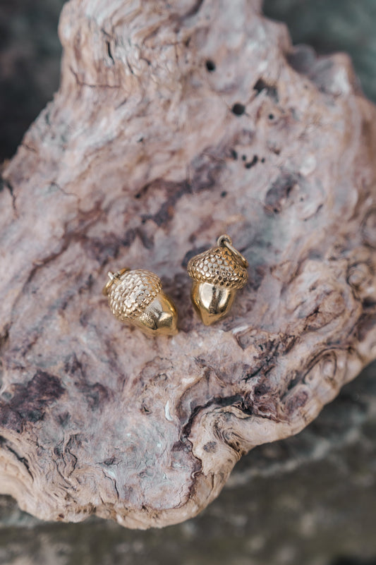ACORN CHARM