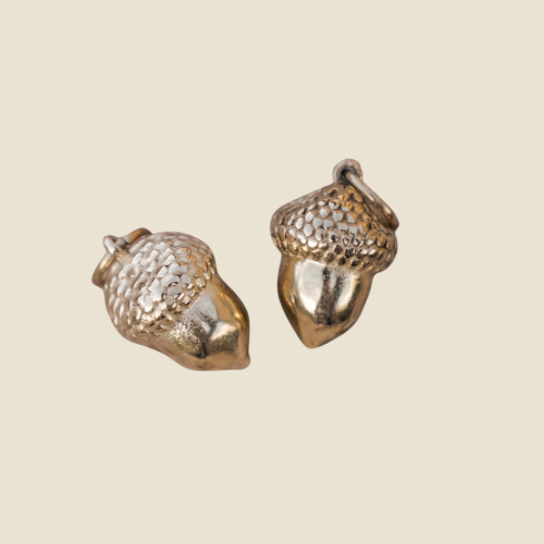 ACORN CHARM